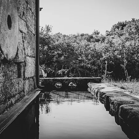 Casa Do Moinho Montalegre